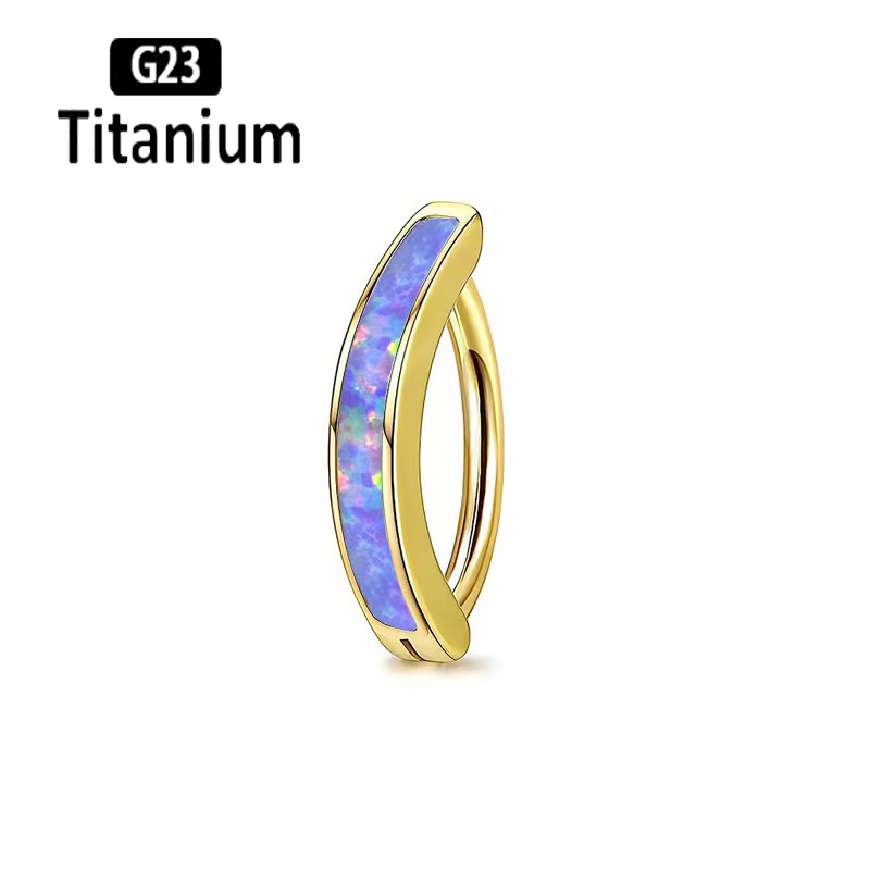 1PC 14G Implant Grade G23 Tita - Body Jewelry Implant Grade Titanium ulasan dan harga